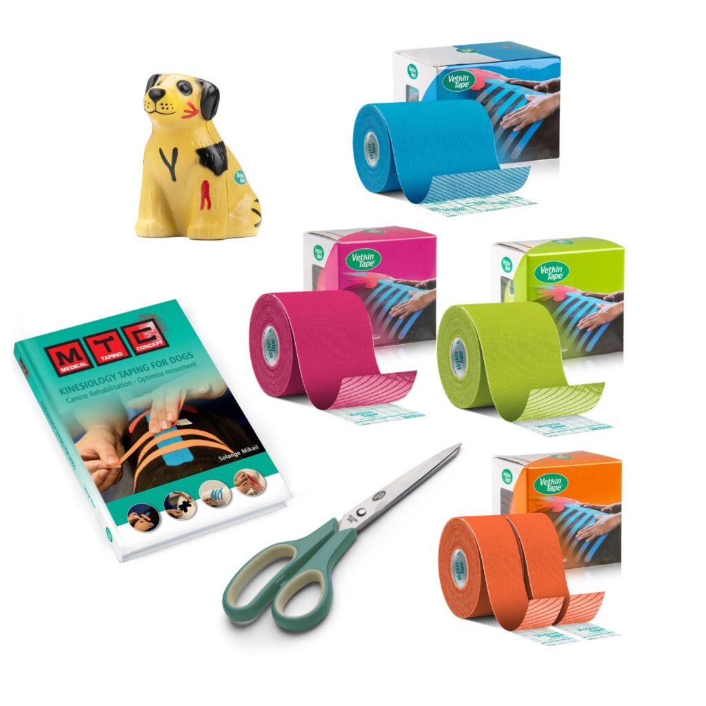 Kit introduttivo VetkinTape per cane