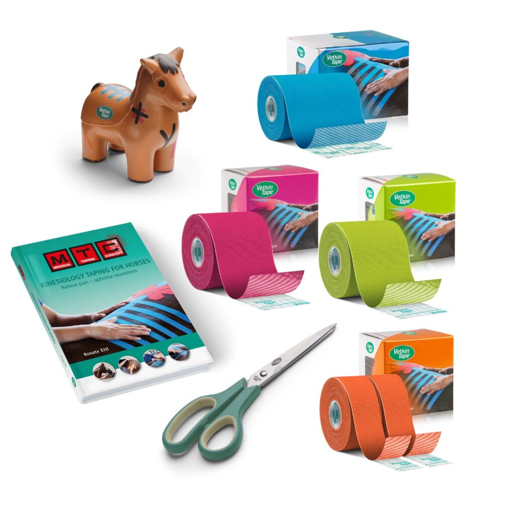 Kit introduttivo VetkinTape per cavallo